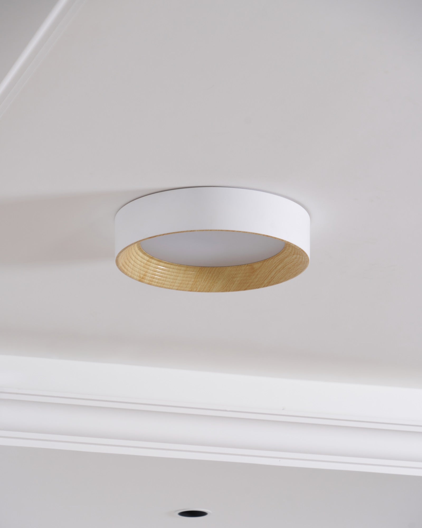 Lerexa Round Ceiling Light