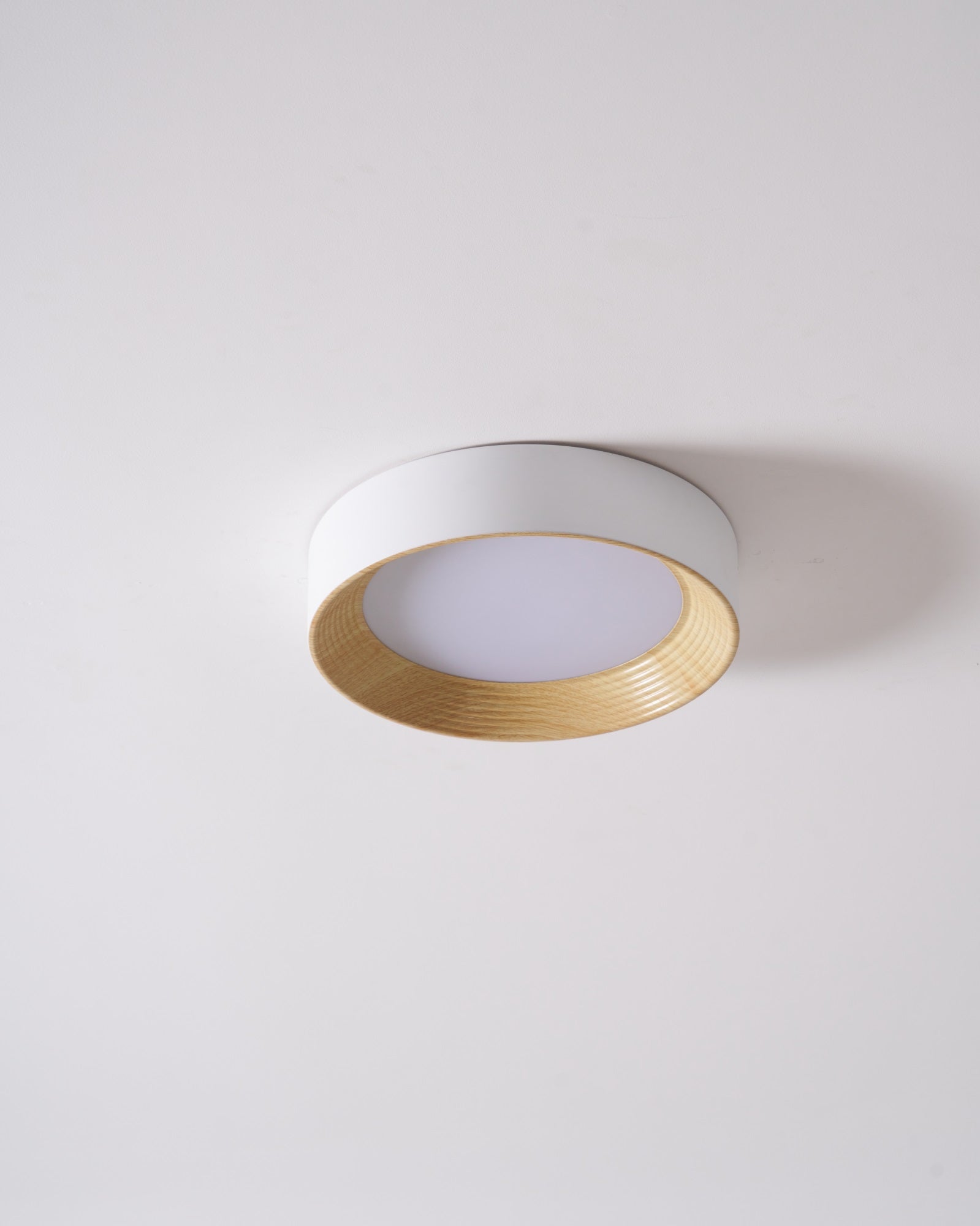 Lerexa Round Ceiling Light