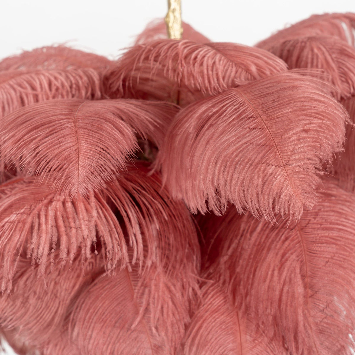 Ostrich Feather Chandeliers – detail 40