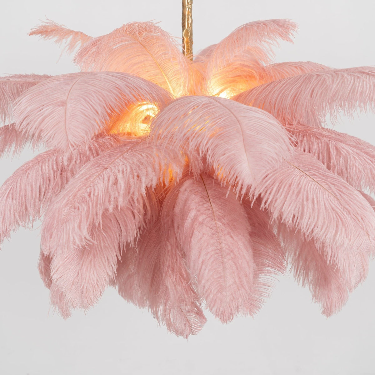 Dekorfine Ostrich Feather Chandeliers — Detail View 49