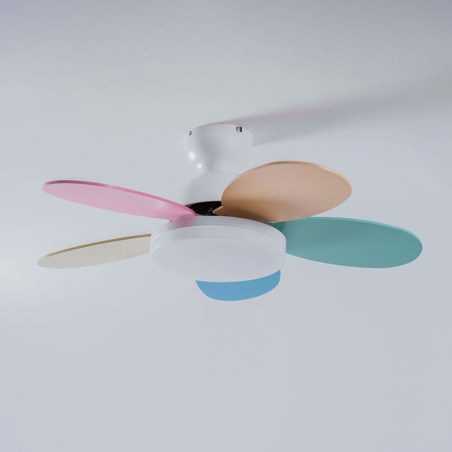 Taliro Ceiling Fan Light