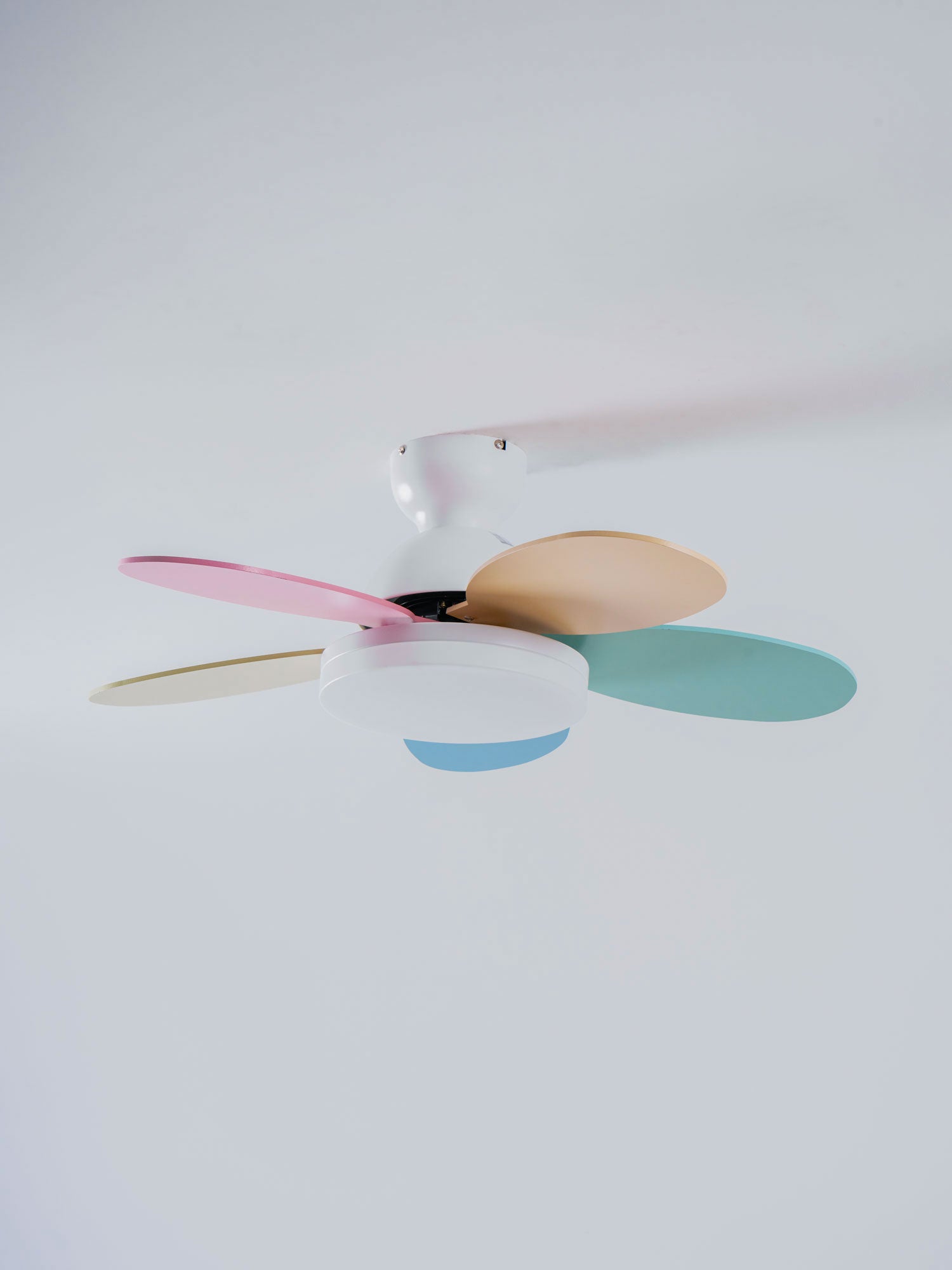 Taliro Ceiling Fan Light