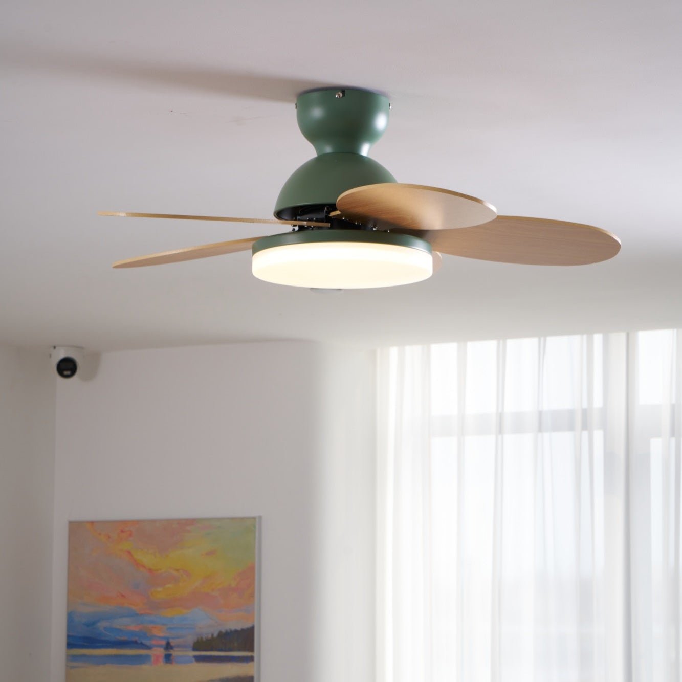 Taliro Ceiling Fan Light