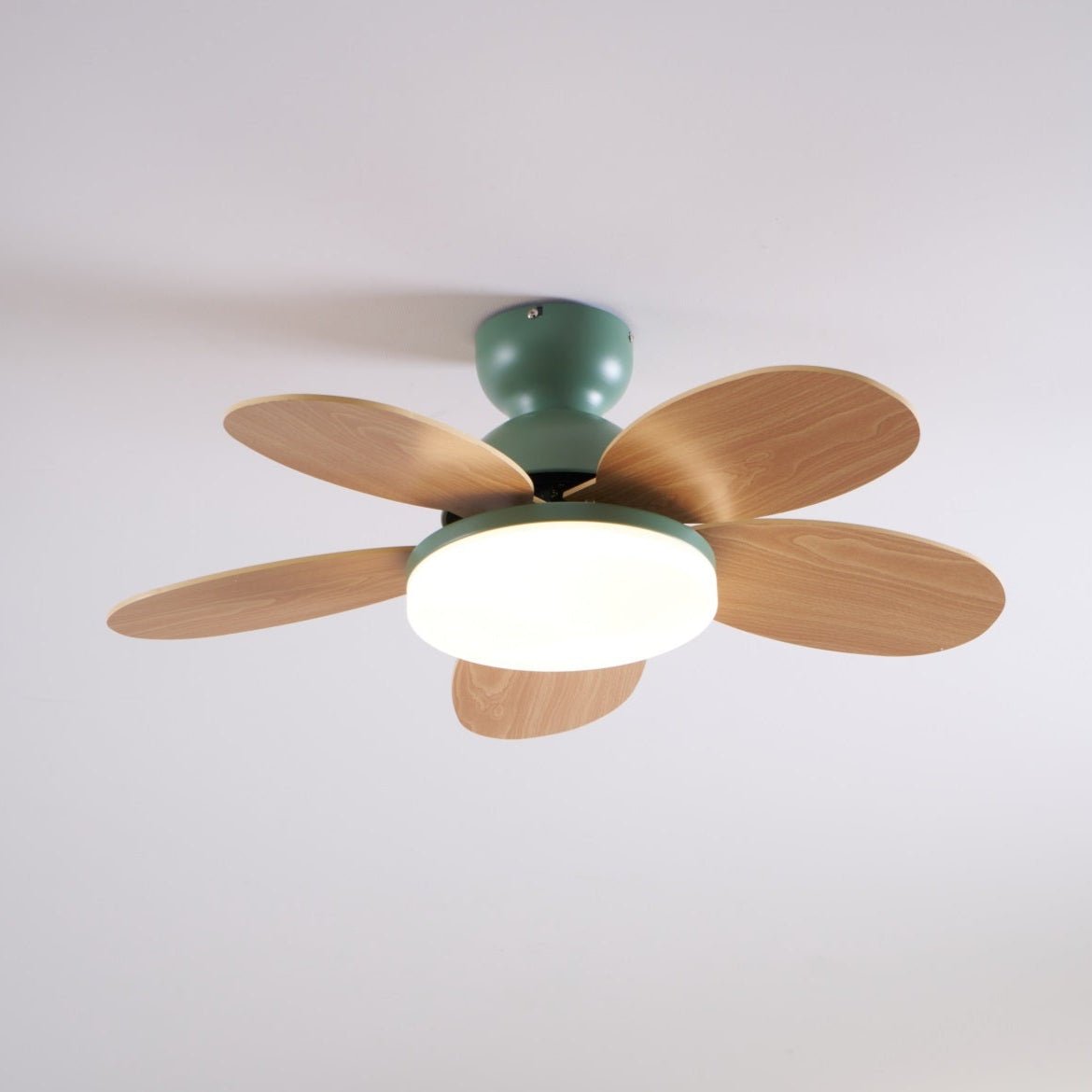 Taliro Ceiling Fan Light