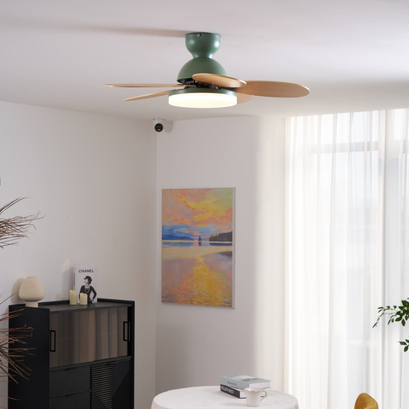 Taliro Ceiling Fan Light