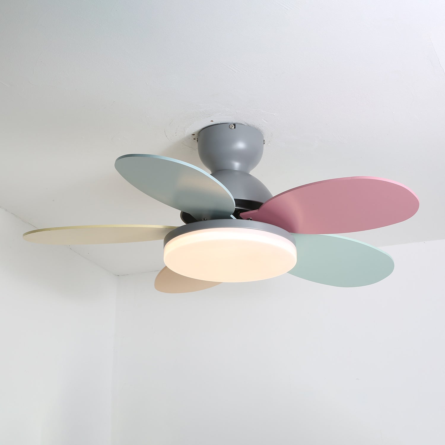Taliro Ceiling Fan Light