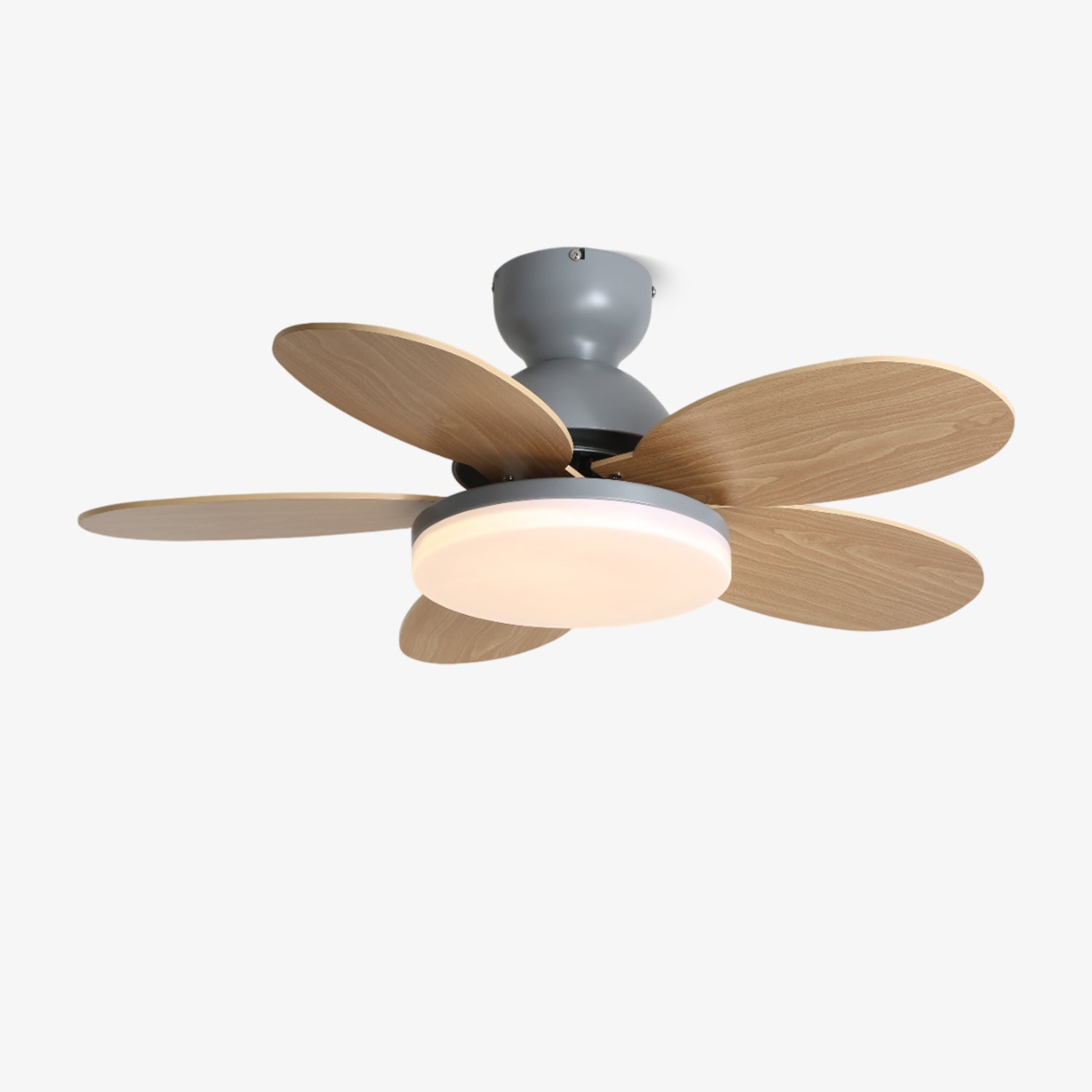 Taliro Ceiling Fan Light
