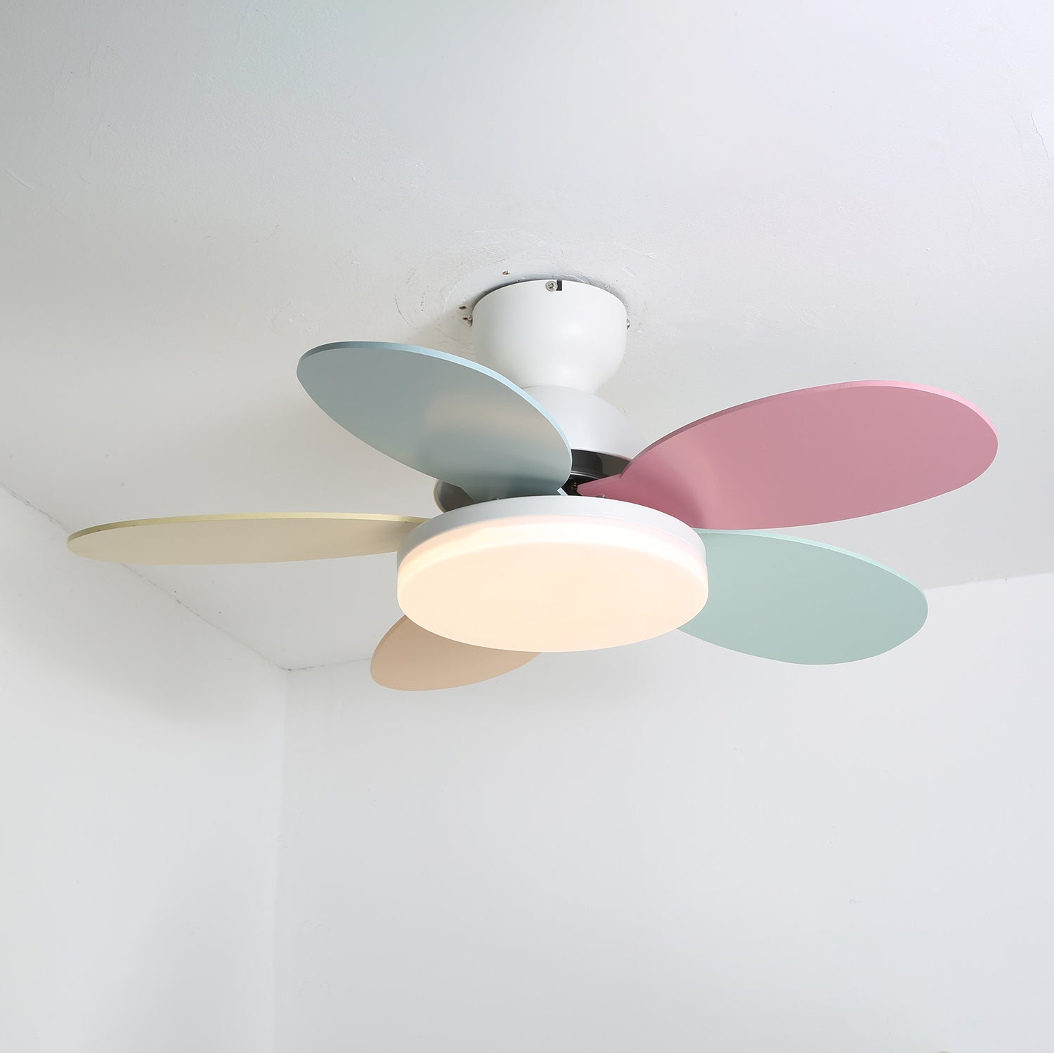 Taliro Ceiling Fan Light