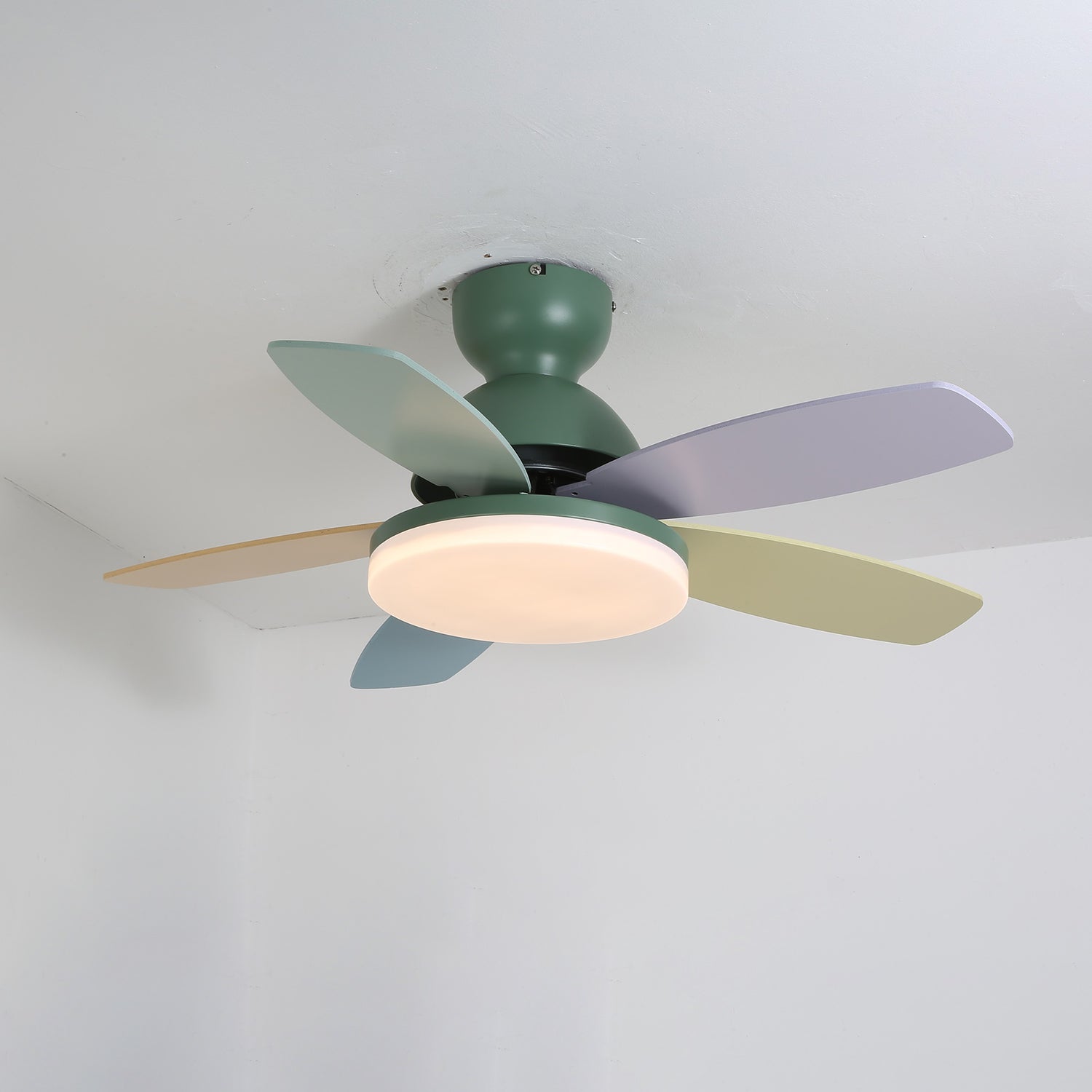 Taliro Ceiling Fan Light