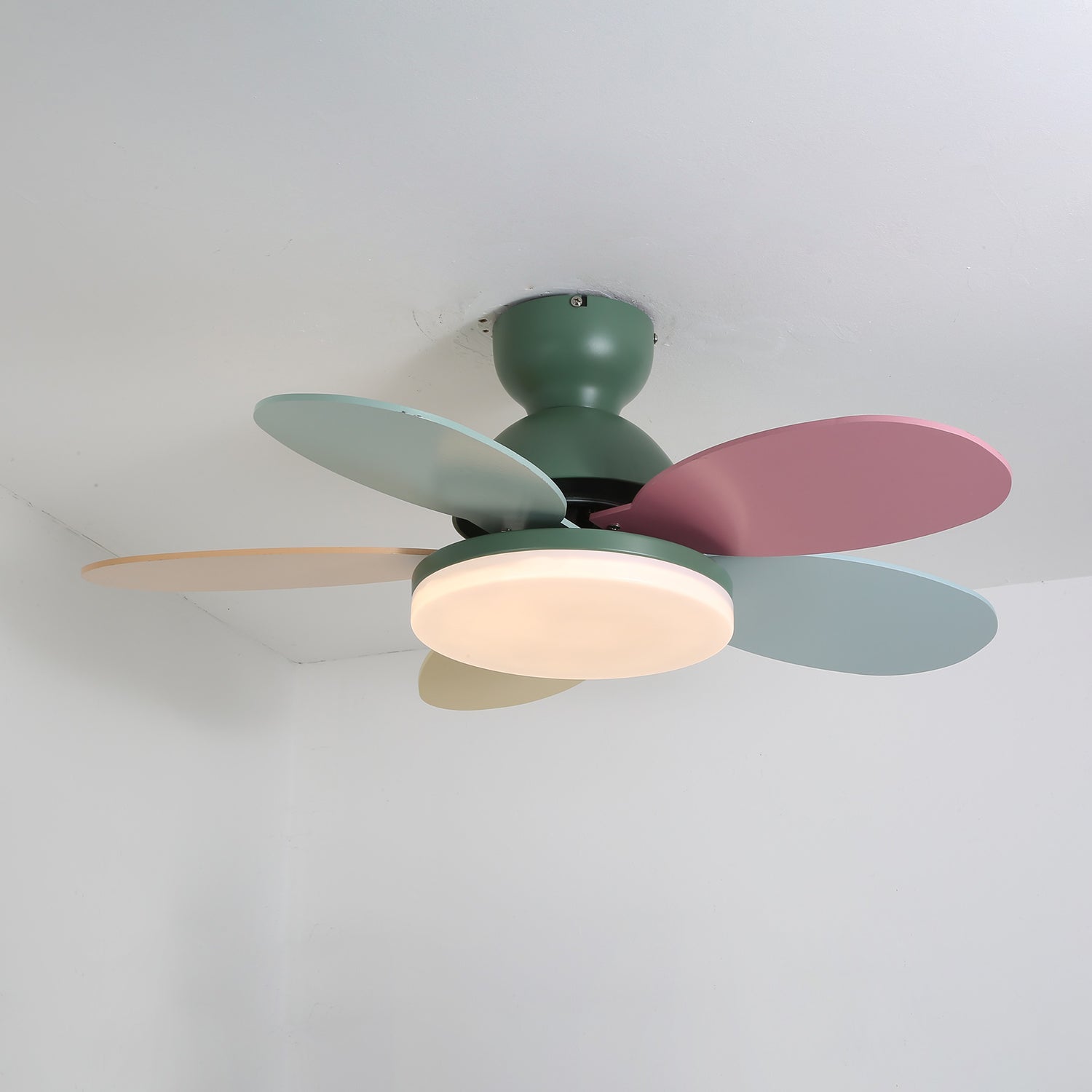 Taliro Ceiling Fan Light