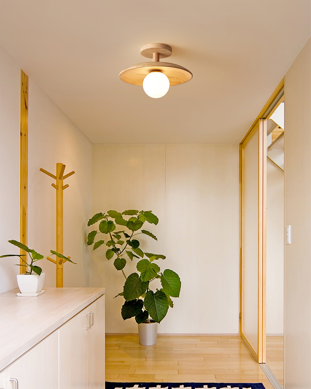 Sorawell Round Ceiling Light