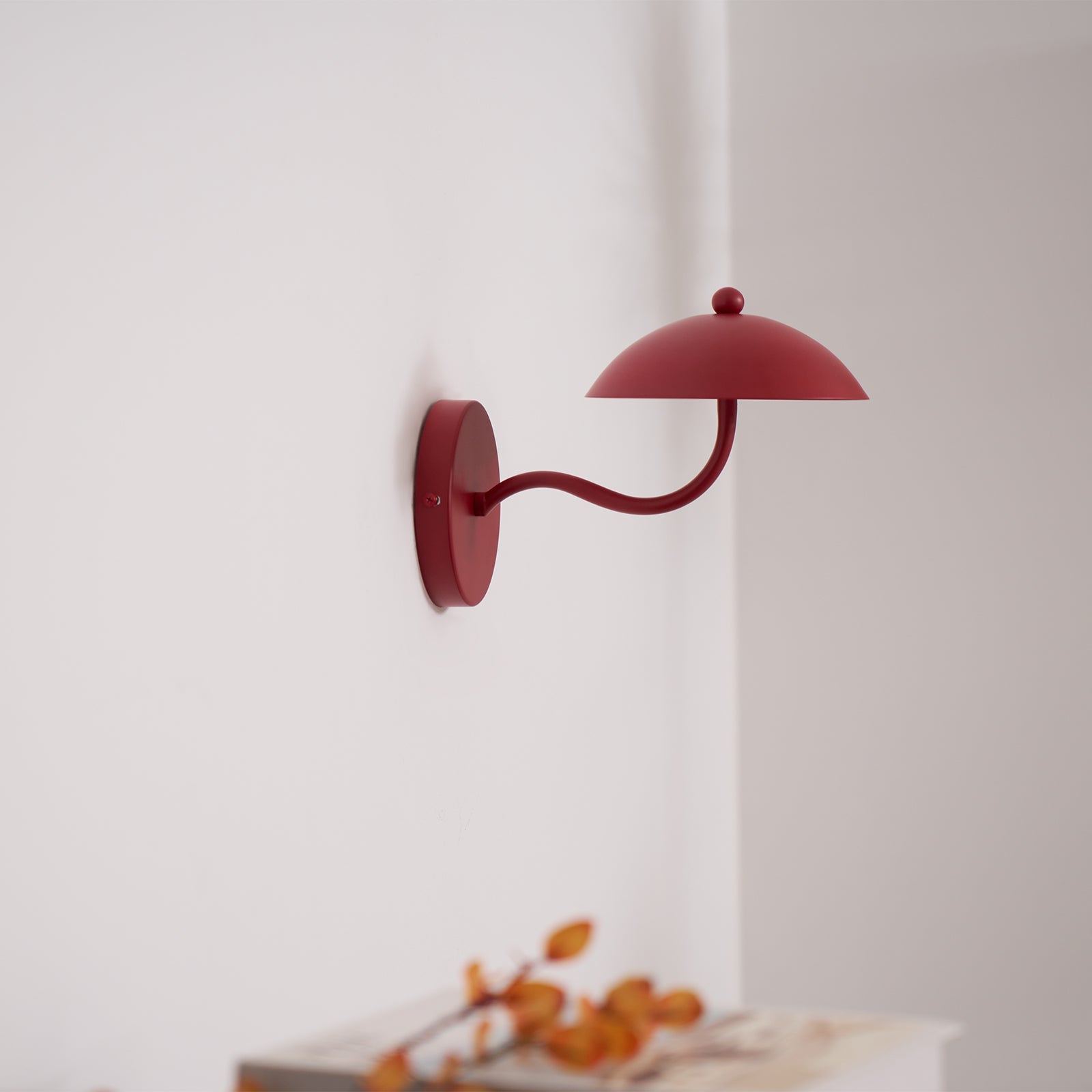 Casnoas Dome Wall Light
