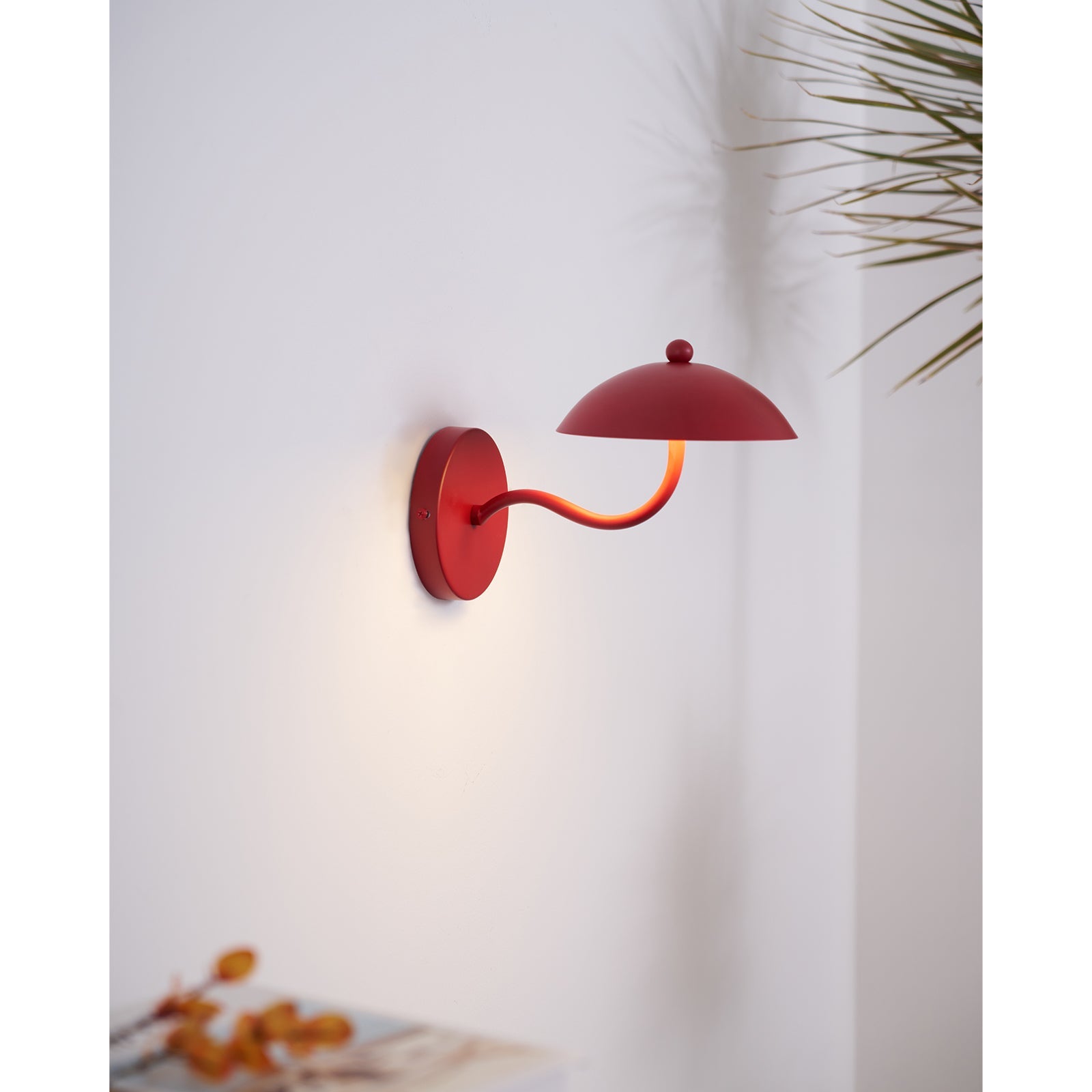 Casnoas Dome Wall Light