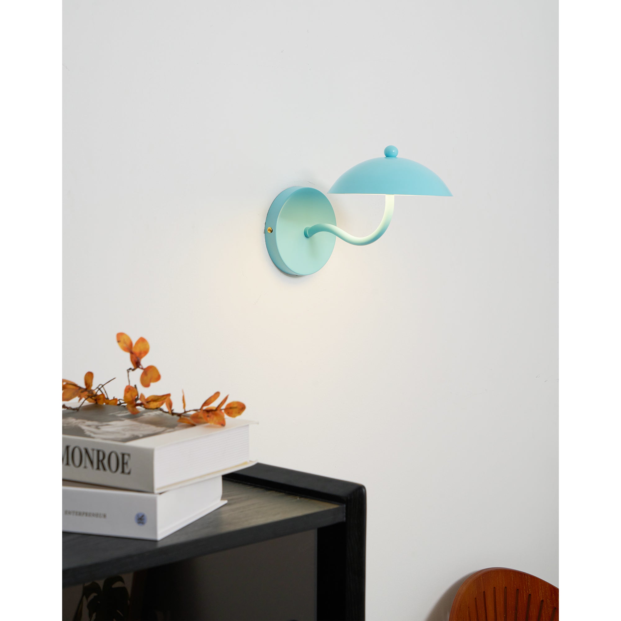 Casnoas Dome Wall Light