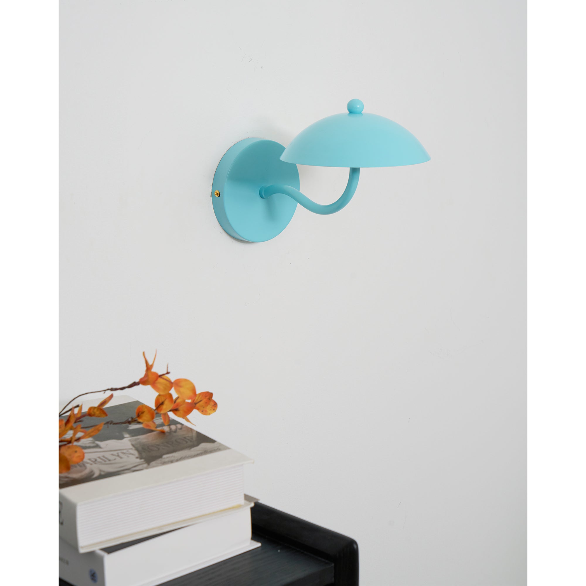 Lannovale Dome Wall Light