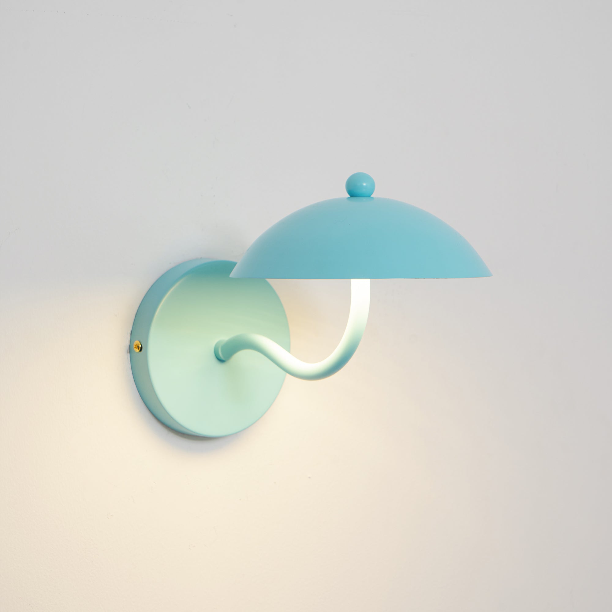 Casnoas Dome Wall Light
