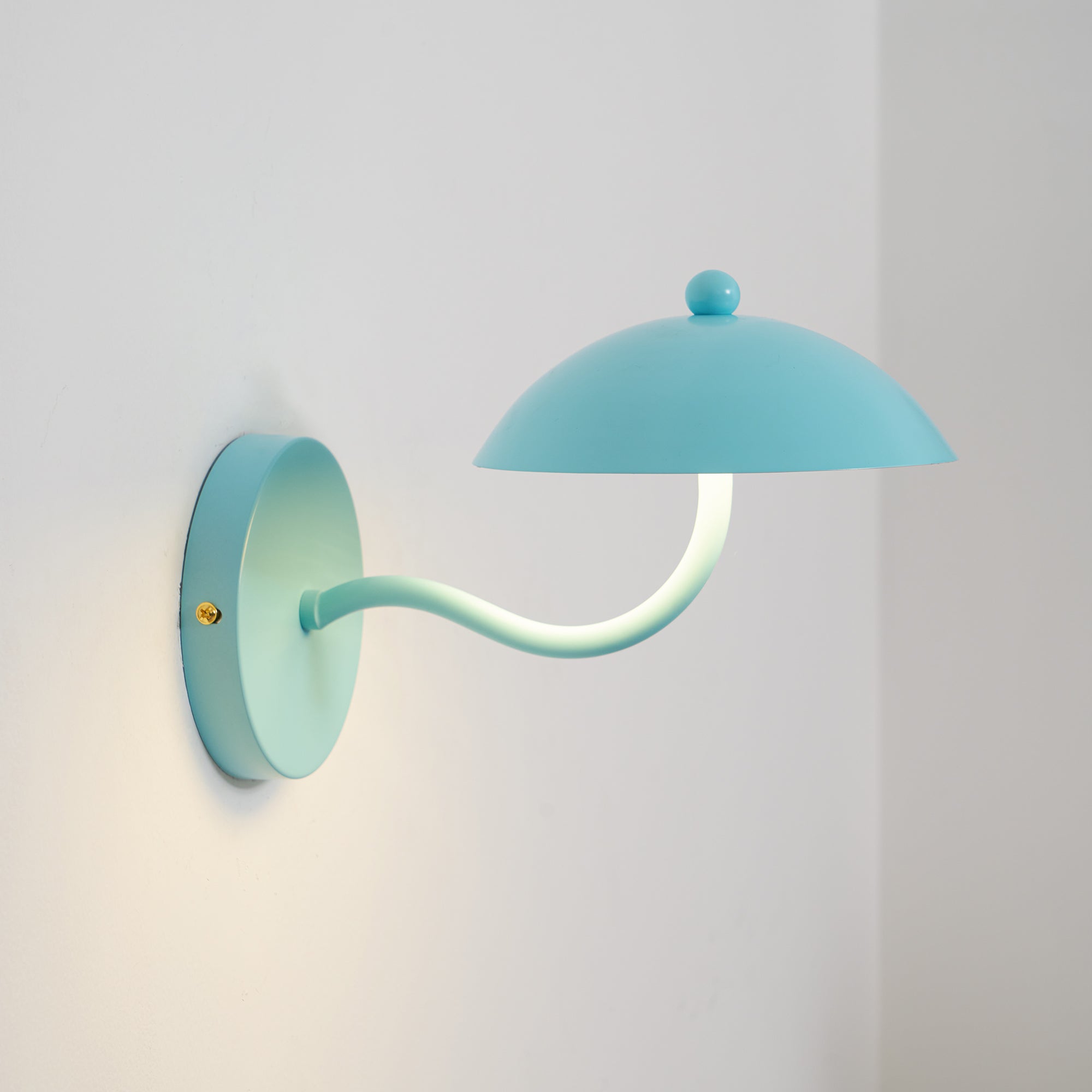 Casnoas Dome Wall Light
