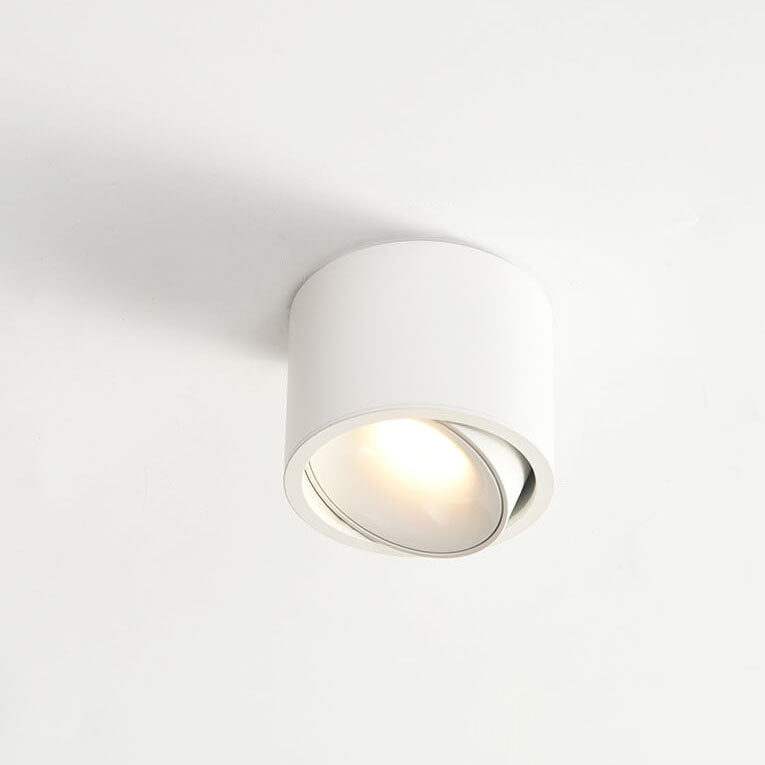 Renma Round Ceiling Light