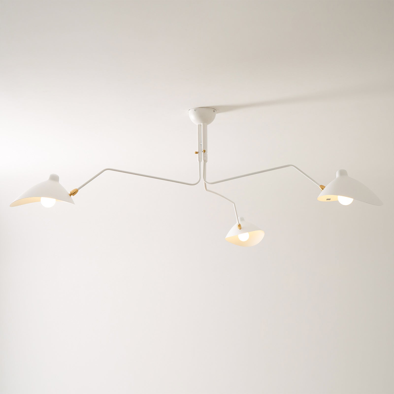 Casley Spider Ceiling Light