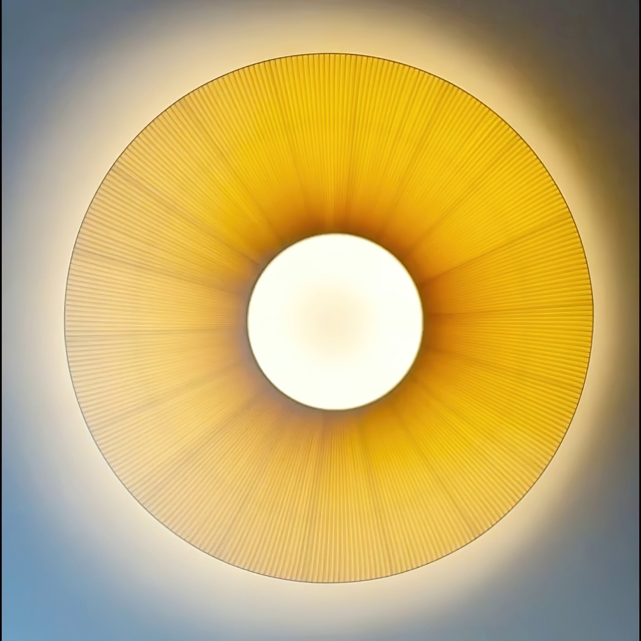 Alnoey Ceiling Light