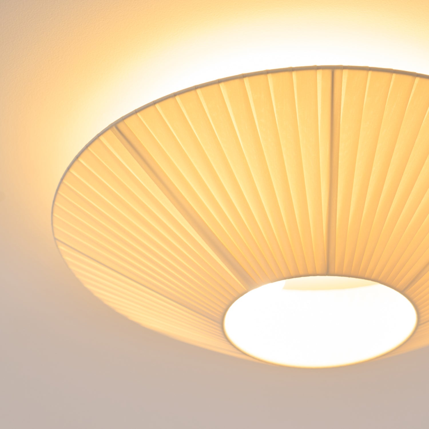 Alnoey Ceiling Light