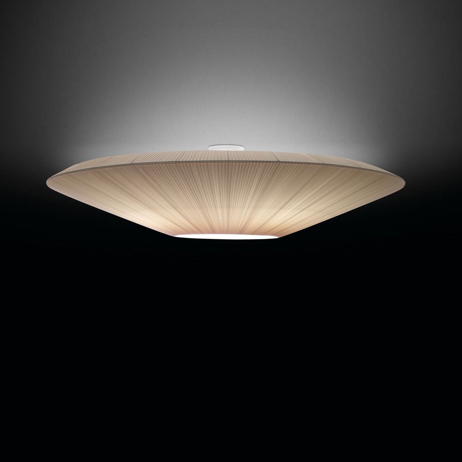 Alnoey Ceiling Light