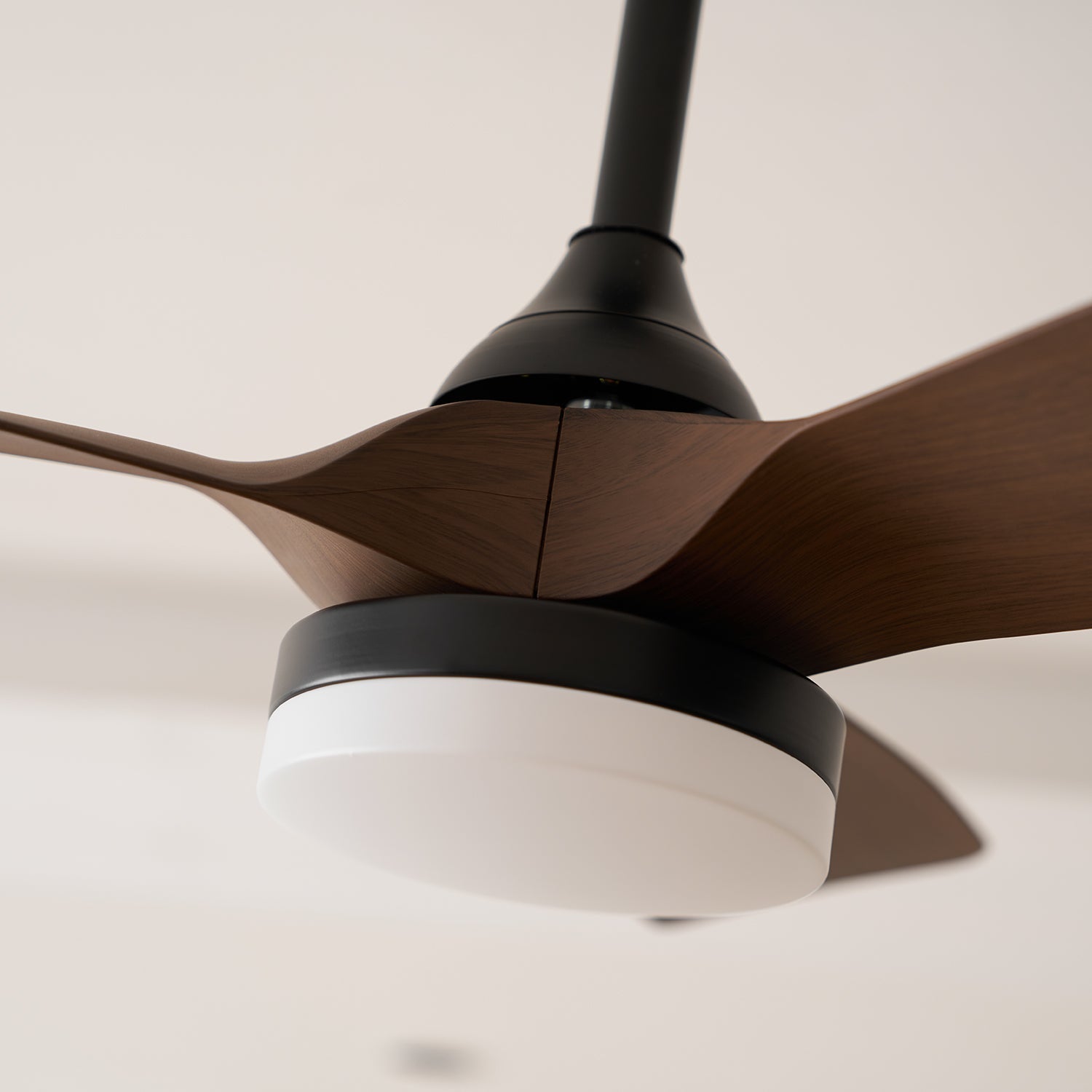 Lexey Ceiling Fan Light
