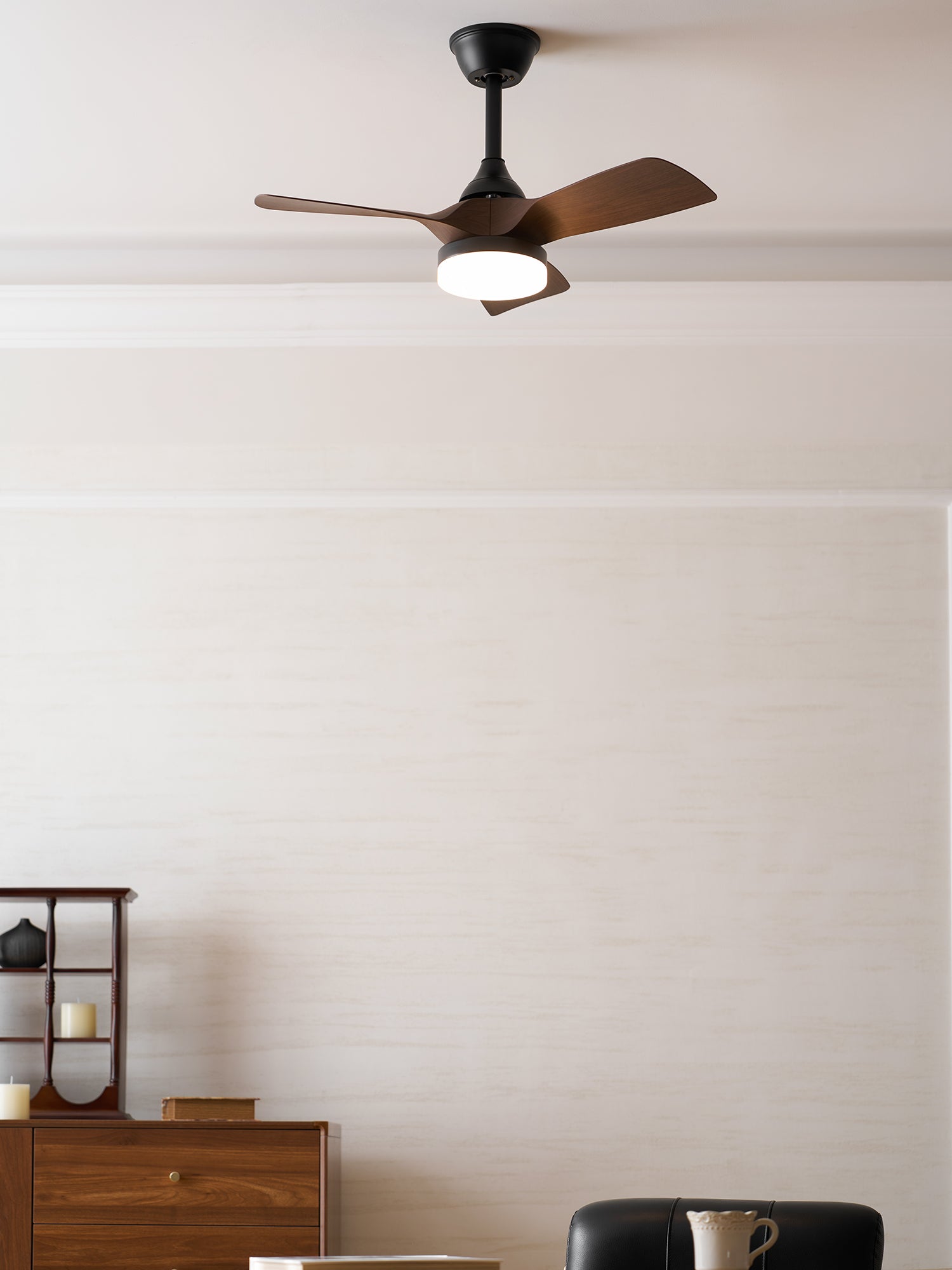 Lexey Ceiling Fan Light