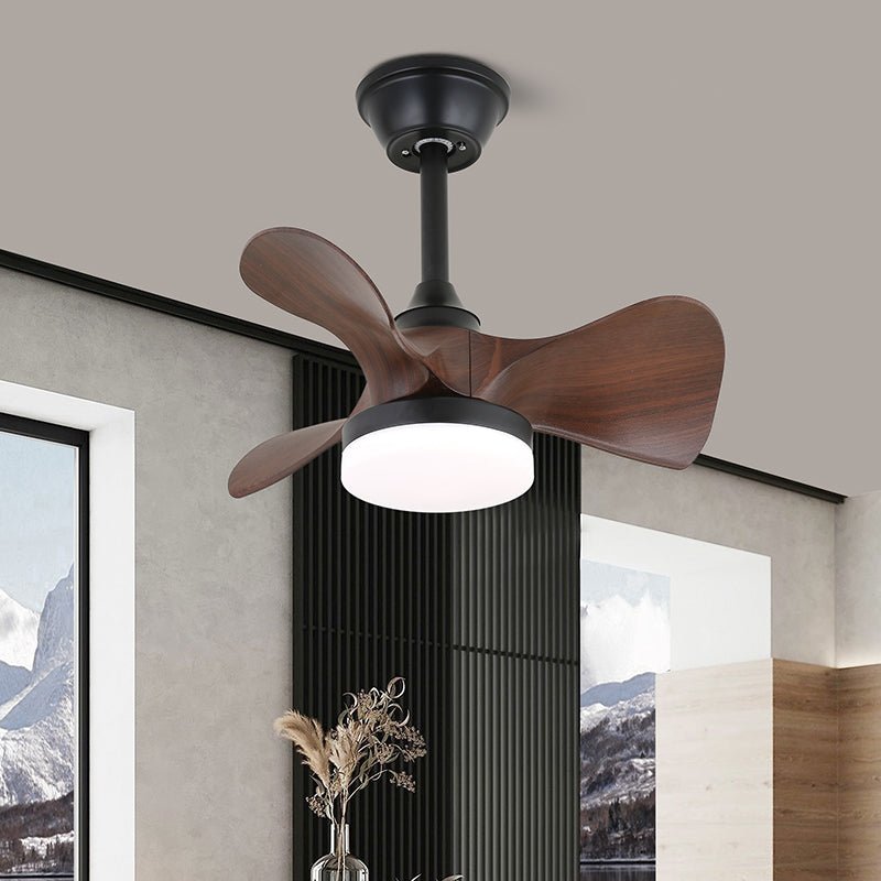 Lexey Ceiling Fan Light