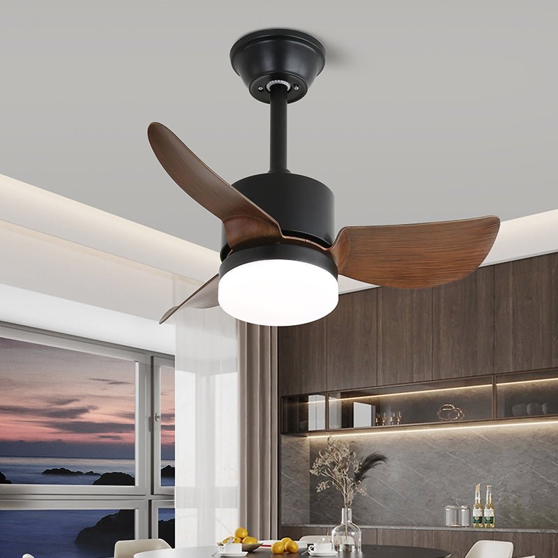 Lexey Ceiling Fan Light