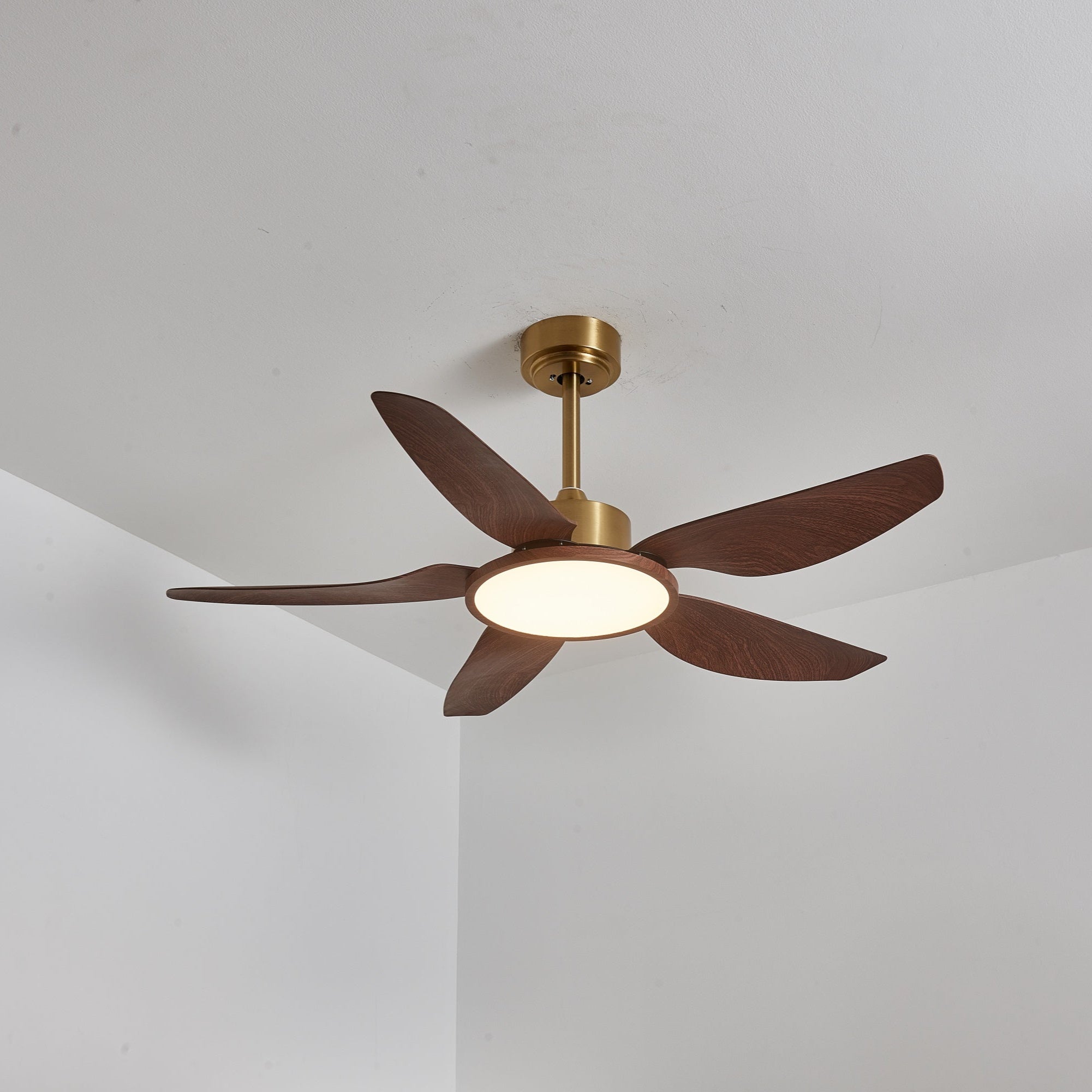 Tereelo Ceiling Fan Light