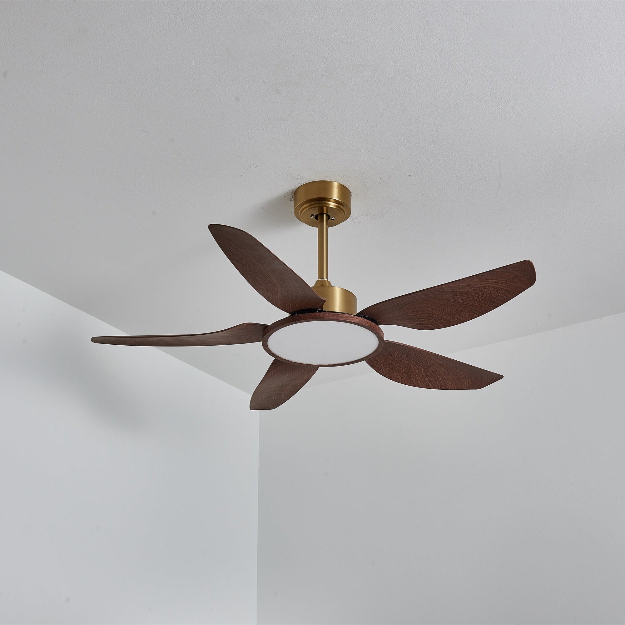 Tereelo Ceiling Fan Light