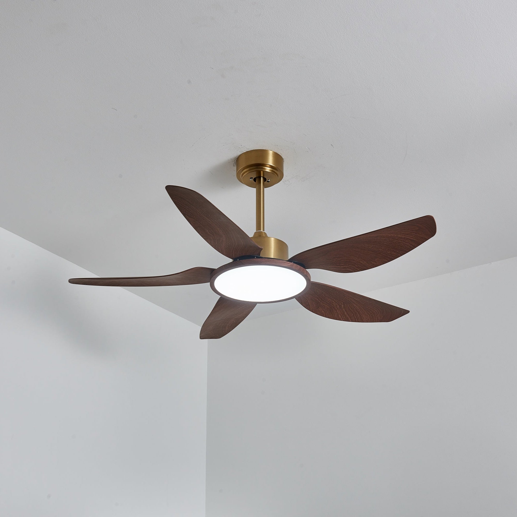 Tereelo Ceiling Fan Light