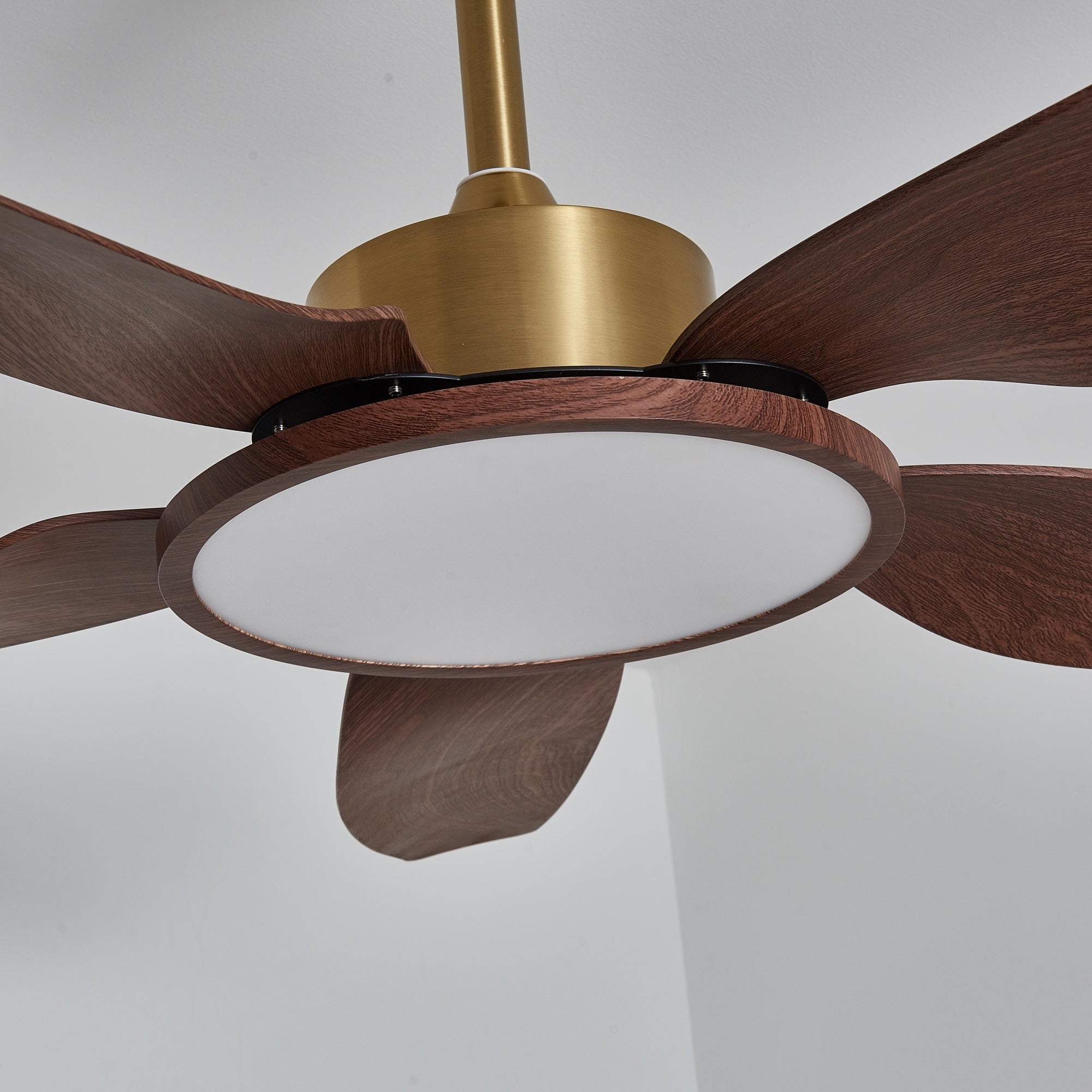 Tereelo Ceiling Fan Light