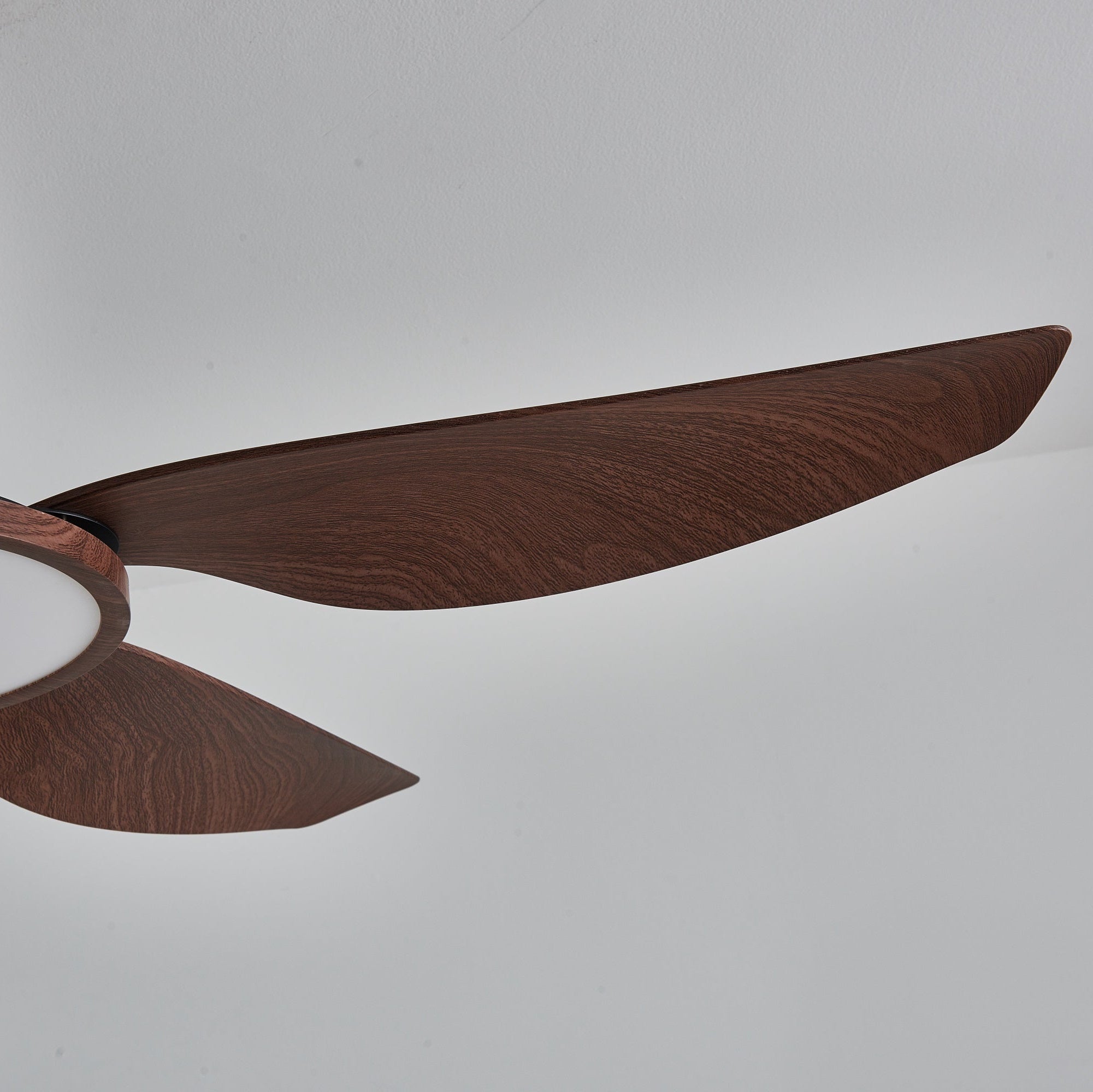 Tereelo Ceiling Fan Light