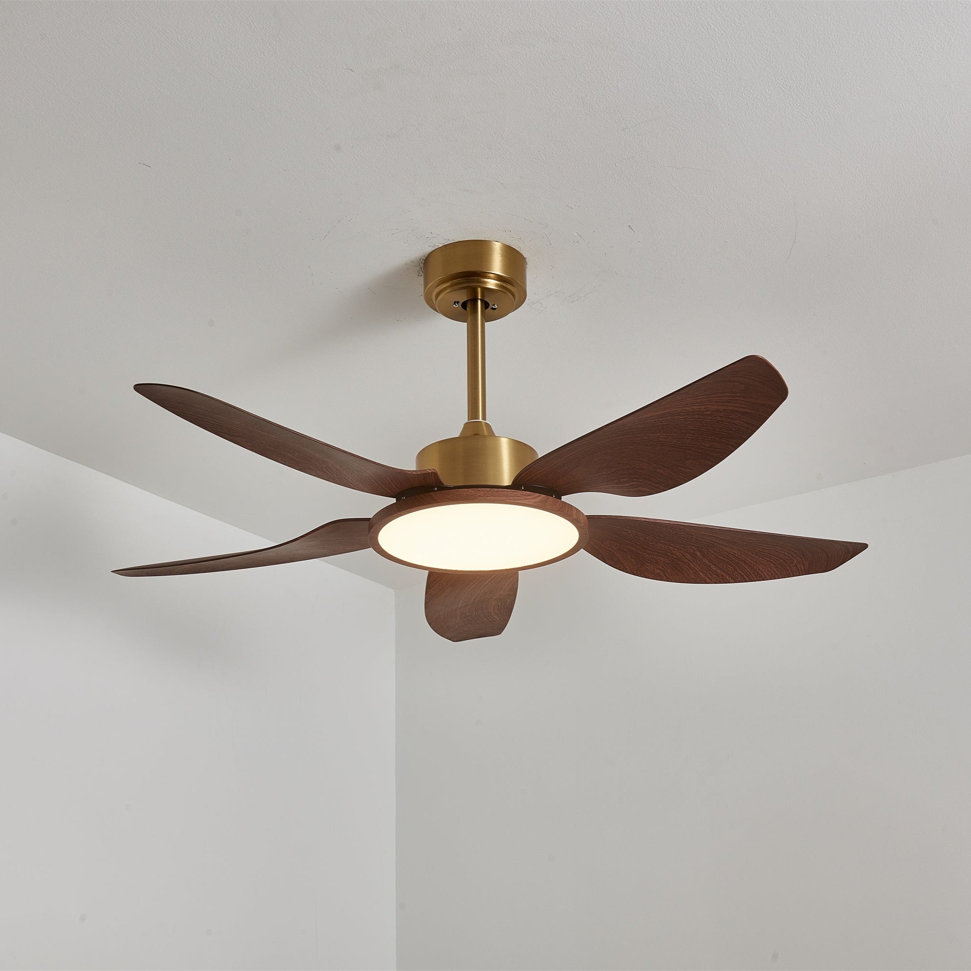 Tereelo Ceiling Fan Light
