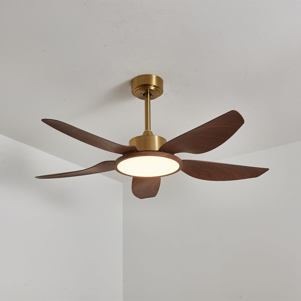 Caselen Ceiling Fan Light
