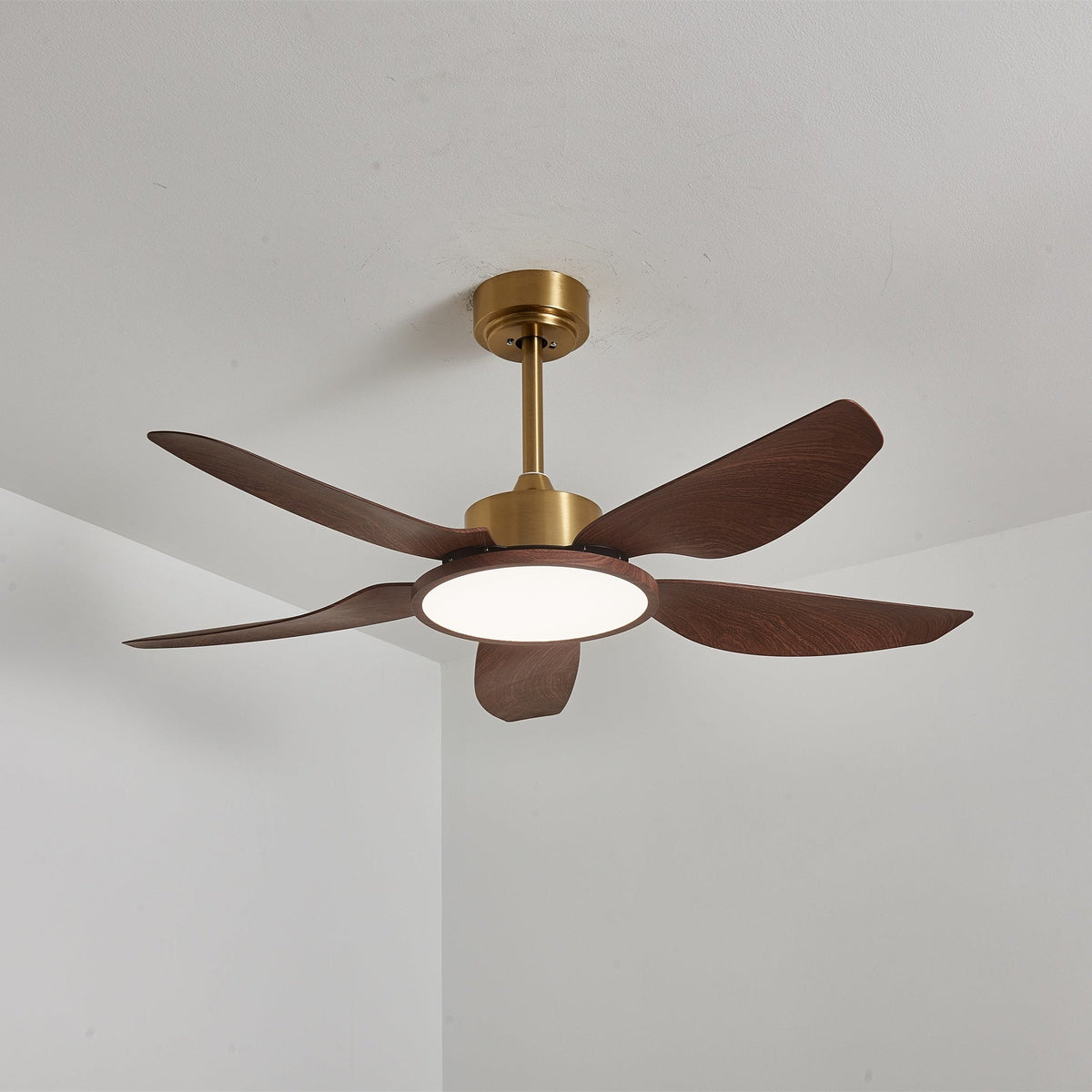Caselen Ceiling Fan Light