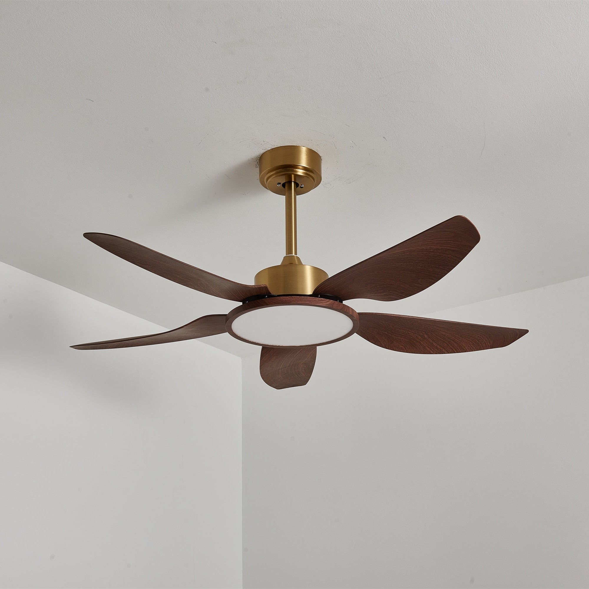 Tereelo Ceiling Fan Light