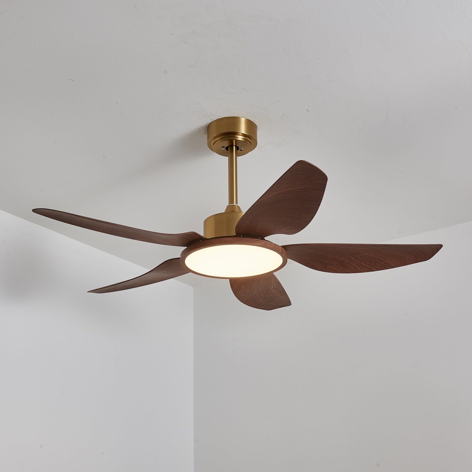 Tereelo Ceiling Fan Light