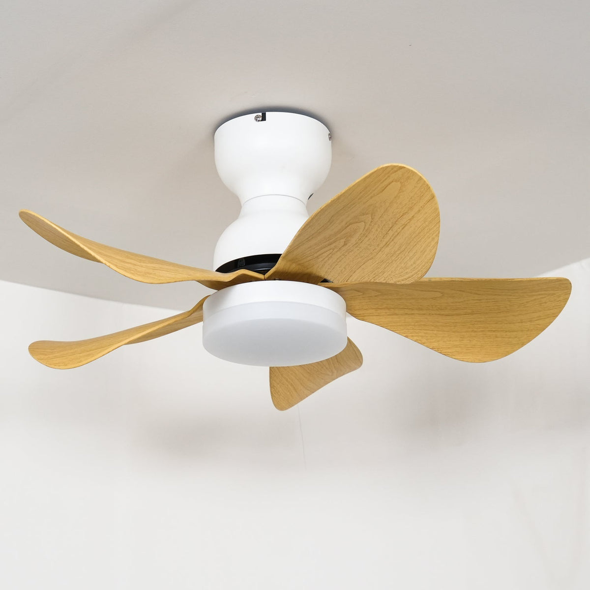 Reefli Ceiling Fan Light