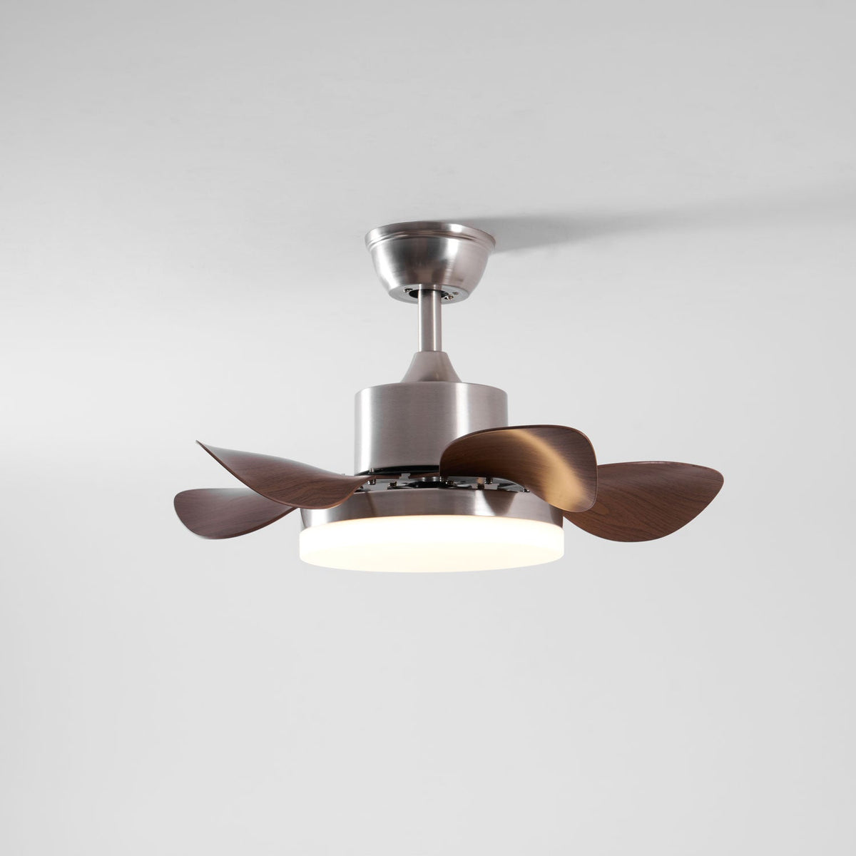 Evone Ceiling Fan Light