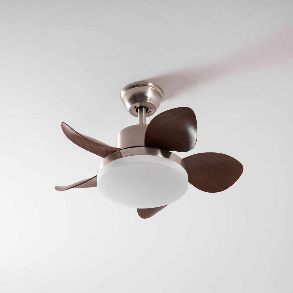 Evone Ceiling Fan Light