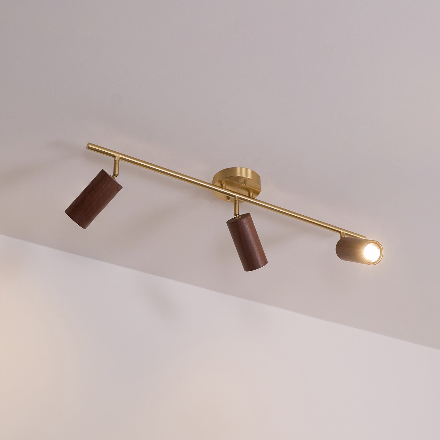 Marlii Ceiling Light