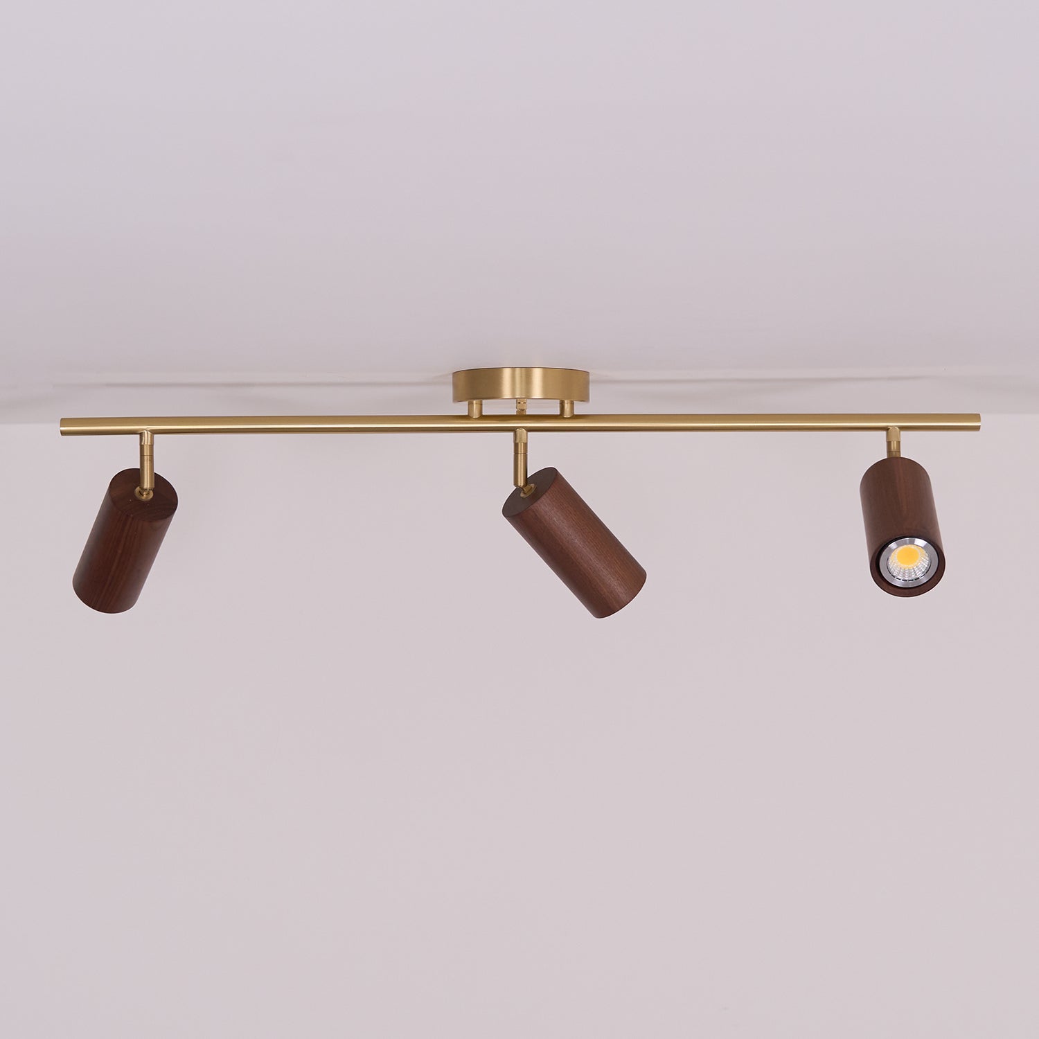 Marlii Ceiling Light