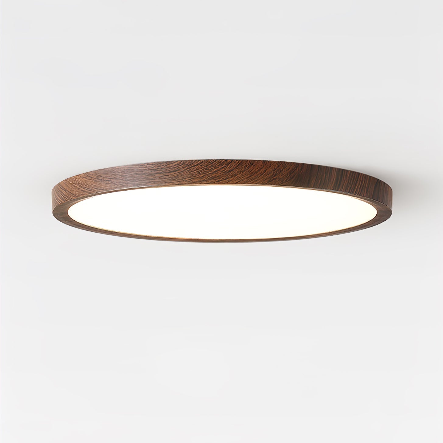 Orenerra Round Ceiling Light