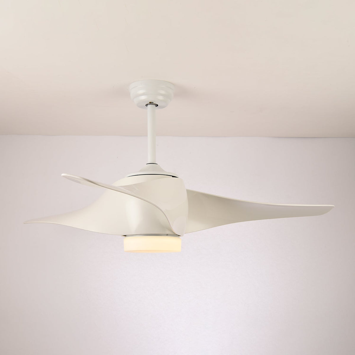 Dellyn Ceiling Fan Light