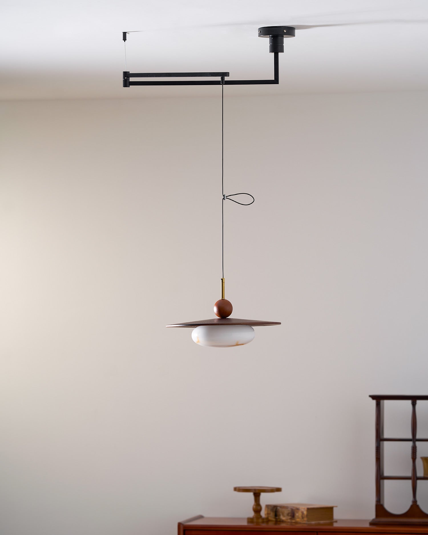Calani Swing Arm Pendant Light