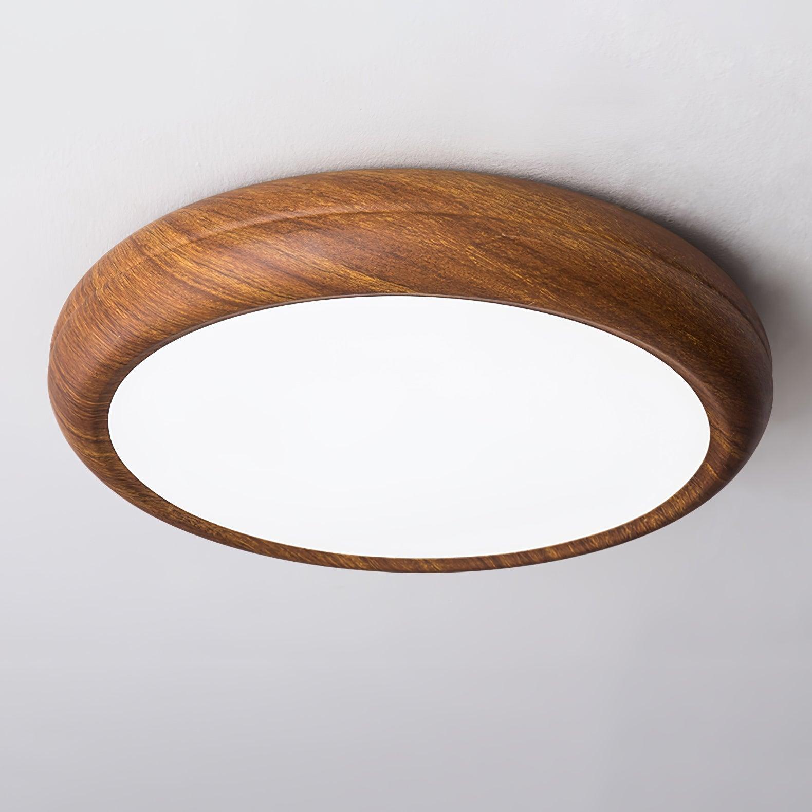 Delva Round Ceiling Light