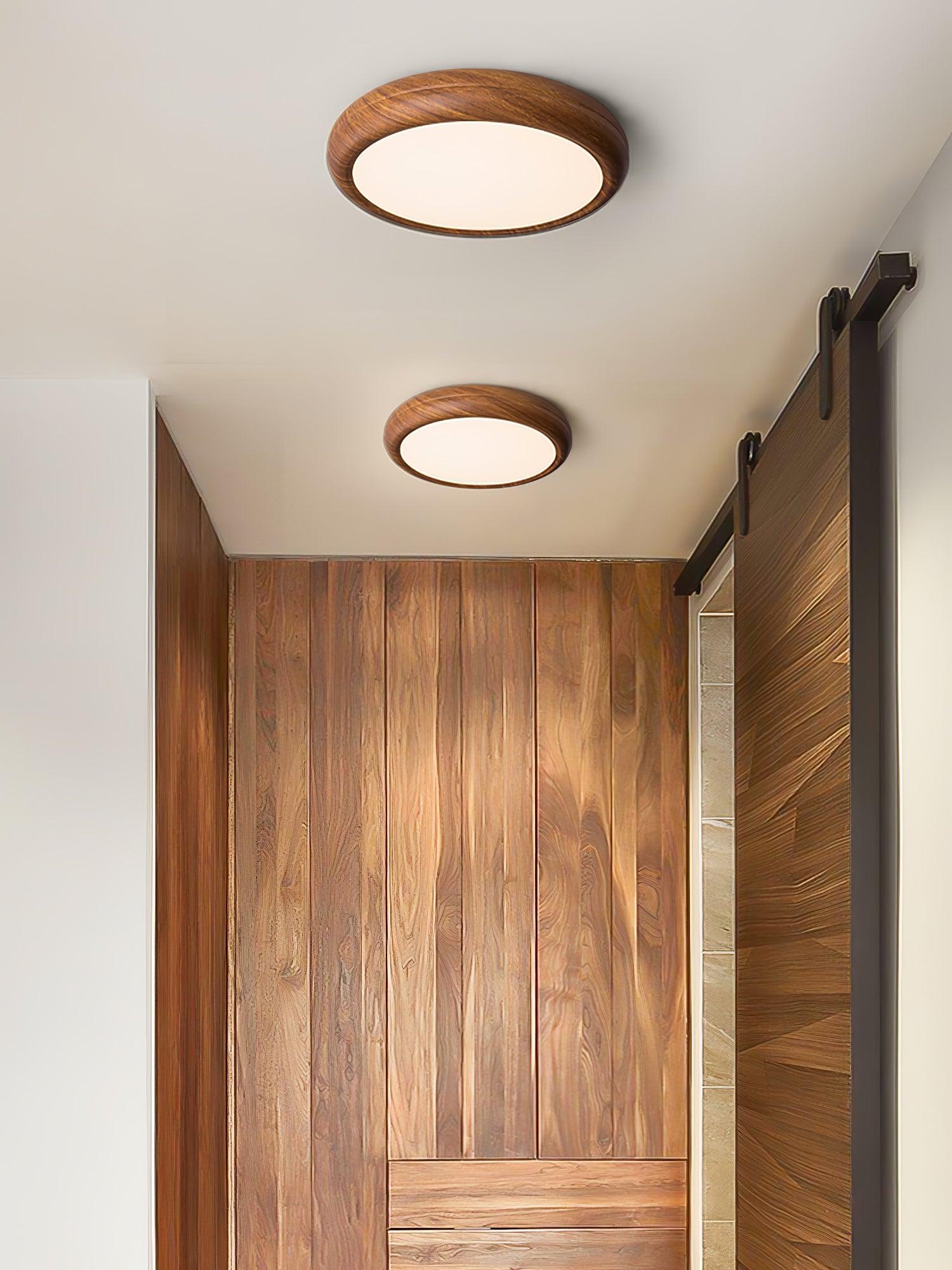 Delva Round Ceiling Light